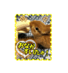 第2回フォトコンテスト（個別スタンプ：22）