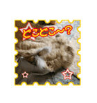 第2回フォトコンテスト（個別スタンプ：23）