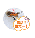 保護犬・江戸川多頭崩壊85っ子の暖かい冬（個別スタンプ：19）