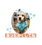 保護犬・江戸川多頭崩壊85っ子の暖かい冬（個別スタンプ：21）