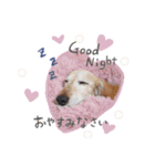 MINI-PIN♡LOVE♡（個別スタンプ：2）