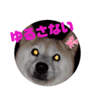 みんなと一緒11（個別スタンプ：3）
