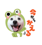 みんなと一緒11（個別スタンプ：4）