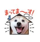 みんなと一緒11（個別スタンプ：6）