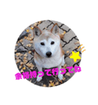 みんなと一緒11（個別スタンプ：8）