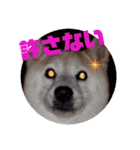 みんなと一緒11（個別スタンプ：10）