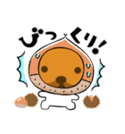 たぬきやさんすたんぷ1（個別スタンプ：11）