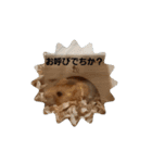 ゴールデンハムスター ゴルハム（個別スタンプ：2）