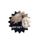 デグー パイド（個別スタンプ：23）