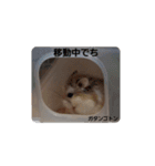 ロボロフスキーハムスターの日常（個別スタンプ：6）