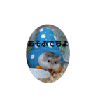 ロボロフスキーハムスターの日常（個別スタンプ：13）
