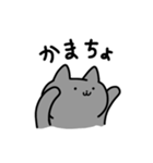 ブリティッシュのあんこだよ（個別スタンプ：4）