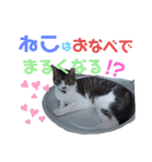 小春びより-3（個別スタンプ：6）