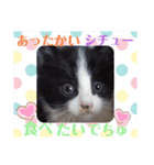 小春びより-3（個別スタンプ：9）