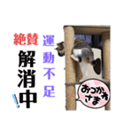 小春びより-3（個別スタンプ：14）