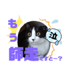 小春びより-3（個別スタンプ：19）