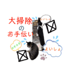 小春びより-3（個別スタンプ：21）