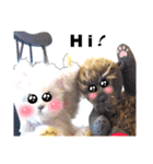 【英語版】女性用 可愛いテディベア（個別スタンプ：39）