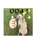 毎日らぶらどーる4（個別スタンプ：4）