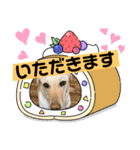 毎日らぶらどーる4（個別スタンプ：21）