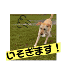毎日らぶらどーる4（個別スタンプ：23）