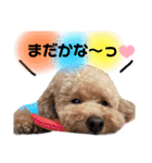我が家の長男とまさおくん！（個別スタンプ：30）