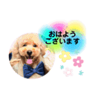 我が家の長男とまさおくん！（個別スタンプ：31）