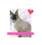 おらの猫達（個別スタンプ：1）