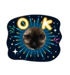 おらの猫達（個別スタンプ：24）