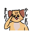 人間味あふれる犬「むぎ三（むぎぞう）」2（個別スタンプ：22）