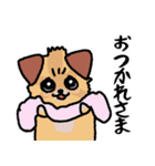 人間味あふれる犬「むぎ三（むぎぞう）」2（個別スタンプ：24）