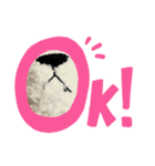 とらこのとらこ①（個別スタンプ：3）