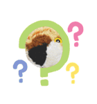 とらこのとらこ①（個別スタンプ：4）