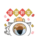 とらこのとらこ①（個別スタンプ：12）