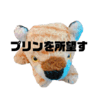 とらこのとらこ①（個別スタンプ：15）