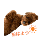 つなちゃんのスタンプ4（個別スタンプ：1）