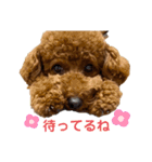 つなちゃんのスタンプ4（個別スタンプ：2）