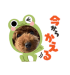 つなちゃんのスタンプ4（個別スタンプ：10）