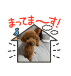 つなちゃんのスタンプ4（個別スタンプ：21）