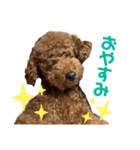 つなちゃんのスタンプ4（個別スタンプ：24）