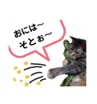 横山家のお猫様5イベント用（個別スタンプ：13）