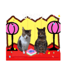 横山家のお猫様5イベント用（個別スタンプ：18）