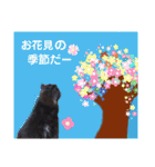 横山家のお猫様5イベント用（個別スタンプ：22）