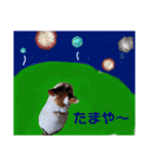 横山家のお猫様5イベント用（個別スタンプ：28）