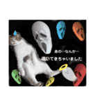 横山家のお猫様5イベント用（個別スタンプ：30）
