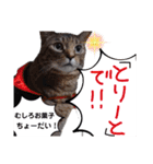 横山家のお猫様5イベント用（個別スタンプ：35）