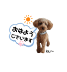 ku〜のスタンプ1（個別スタンプ：1）