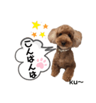 ku〜のスタンプ1（個別スタンプ：3）