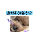 ku〜のスタンプ1（個別スタンプ：4）