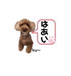 ku〜のスタンプ1（個別スタンプ：5）